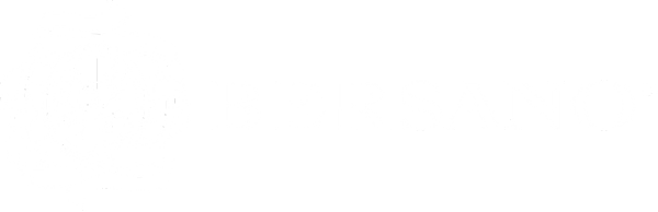 Logo Bersano